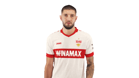 Vfb Stuttgart Silence Sticker by Bundesliga