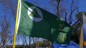 College Ifc GIF by Delta Sigma Phi