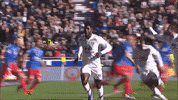lyon GIF by Olympique Lyonnais