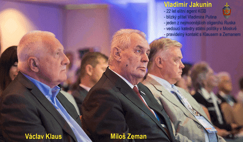 tulipaan giphyupload klaus kgb zeman GIF