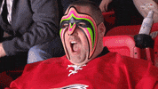 wrestling hockey GIF by Carolina Hurricanes