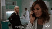 Law And Order Svu GIF by ION
