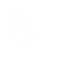 Christmas Tree Winter Sticker