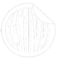 Festival Sticker by RADAR
