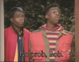 Family Matters No Prob Bob GIF by slicedbread