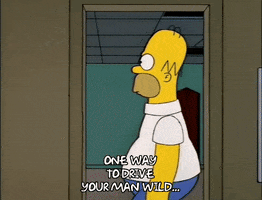 homer simpson episode 22 GIF