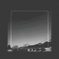 xpandamind loop color abstract random GIF