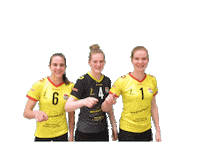 Eredivisie Volleybal Sticker by Draisma Dynamo