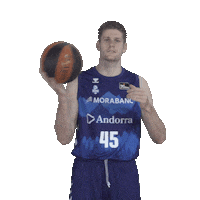 Liga Endesa Sport Sticker by ACB
