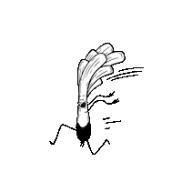 Happy Speed Sticker by Chantal Frontale