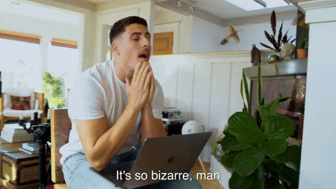 Venice2Venice giphyupload crypto confused weird GIF