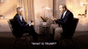 donald trump GIF