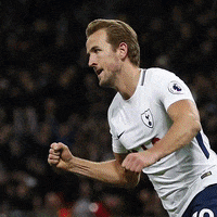GIF by Tottenham Hotspur