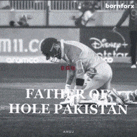 Virat Kohli Cricket GIF