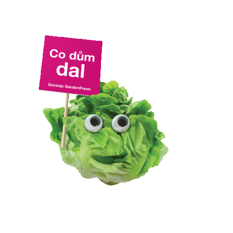 Innovaterocks veggie salat gorenje zelenina Sticker
