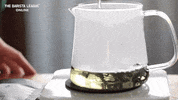 Brewed Coffee GIF by The Barista League