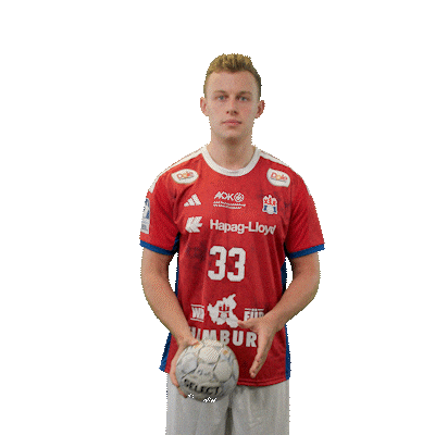 Handball Hamburg Sticker by DAIKIN HBL