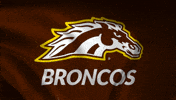 GIF by WMU Alumni