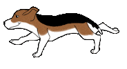 Dog Argentina Sticker