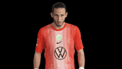 Bundesliga No GIF by VfL Wolfsburg