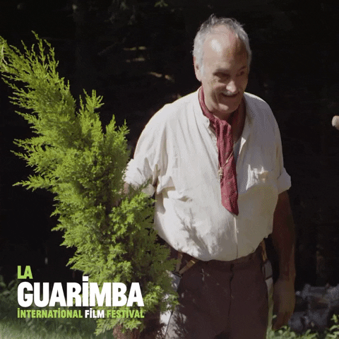 Video gif. An old man holds a tall bush and then chucks it to the ground in frustration. 