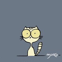 cat GIF by marko