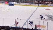 Carolina Hurricanes GIF