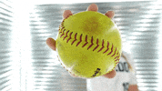 Rocket Softball GIF by Toledo Rockets