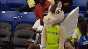 dallas wings dancing GIF by WNBA