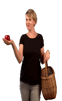 FRAMEPHOTOGRAPHY apple anne basquet froehlich Sticker