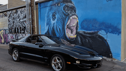 ColoradoCarsAndCoffee giphyupload ws6 GIF