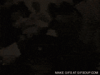 bou GIF
