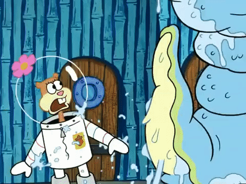 season 5 GIF by SpongeBob SquarePants