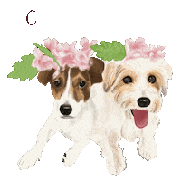 Jack Russell Dog Sticker