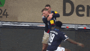 Ksvgif GIF by Holstein Kiel