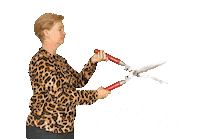 Boom Plant Sticker by Het Groen Werkt