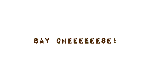 Cheese Shooting Sticker by vibagrafik
