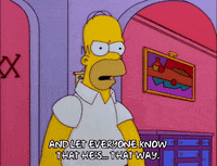 homer simpson GIF