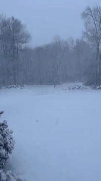 Snow Falls in New Hampshire Amid Winter Storm Warning