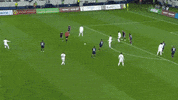 fclokomotiv локомотив fclm fclokomotiv GIF