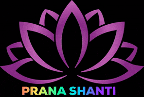 PranaShanti shanti prana edelstenen pranashanti GIF