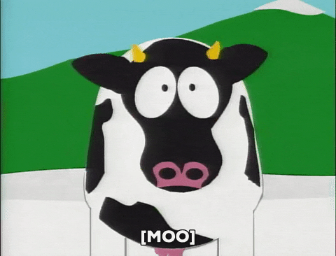 Cow Listening to Music