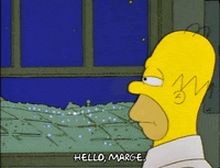 Season 1 Episode 10 GIF by The Simpsons