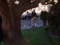 season 2 netflix GIF by Gilmore Girls 