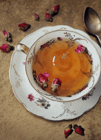 integrativenutrition  GIF
