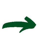 Arrow Sticker by Heritage Education Network Belize