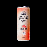 kawamausa party cocktail bright tequila GIF