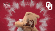 Happy College Sports GIF by College Colors Day