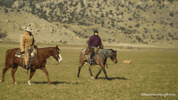 Wild West Horse GIF by Reconnecting Roots