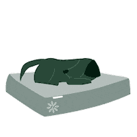 Zinus sleep tools sofa comfy Sticker